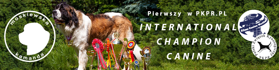 Pierwszy Interchampion Yanichar