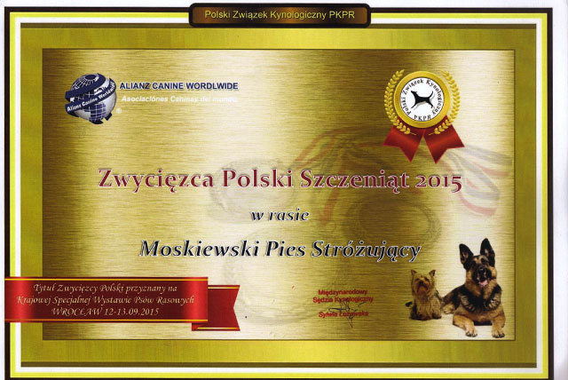 zwycięzca polski szczeniąt 2015