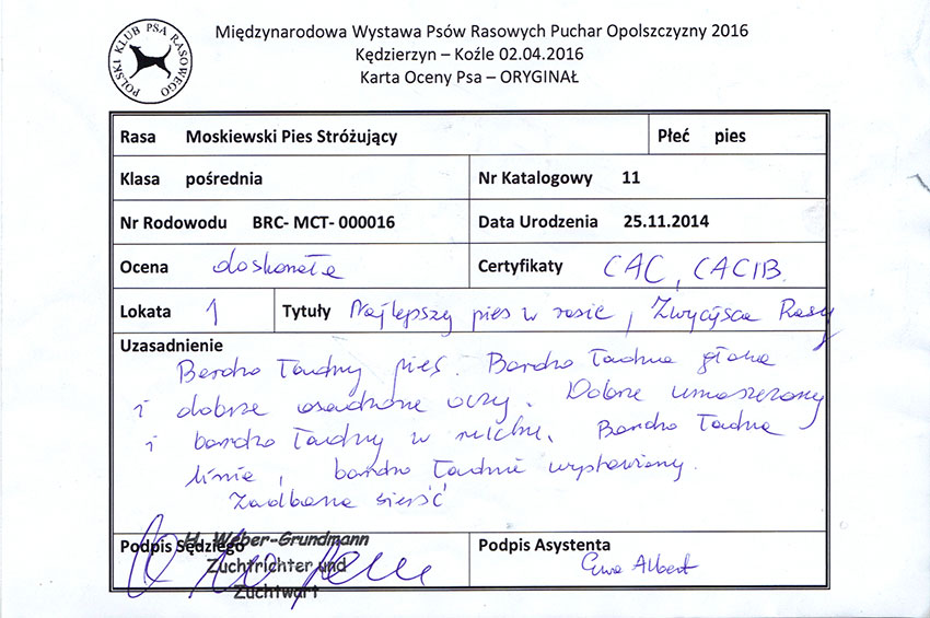 Ataman-Yanichar Kędzierzyn - Koźle 2016 Międzynarodowa Wystawa Psów Rasowych Puchar Opolszczyzny