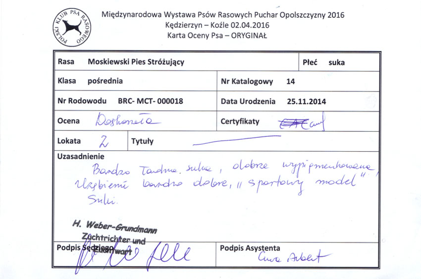 Karta Oceny Międzynarodowa Wystawa Psów Rasowych Kędzierzyn-Koźle 2016.04.02 - Yagodka - Tajga