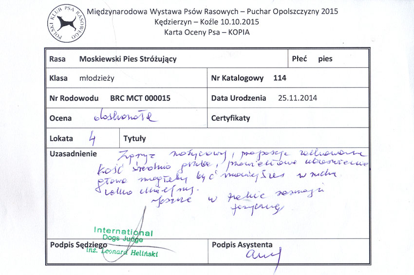 Yaromir-Romi Kędzierzyn - Koźle 2016 Międzynarodowa Wystawa Psów Rasowych Puchar Opolszczyzny