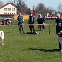 rozne_zdjecia008