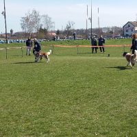 rozne_zdjecia011