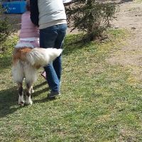 rozne_zdjecia021