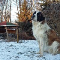 rozne_zdjecia023