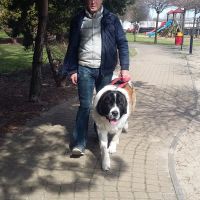 rozne_zdjecia025