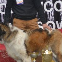 rozne_zdjecia027