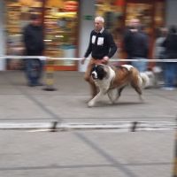 rozne_zdjecia028
