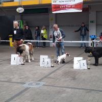 rozne_zdjecia029