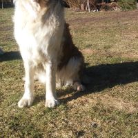 rozne_zdjecia031