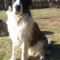 rozne_zdjecia032