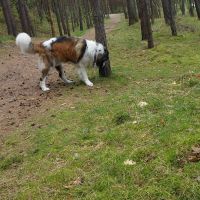 twierdza_osowiec002