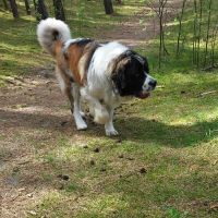 twierdza_osowiec003