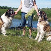 twierdza_osowiec004