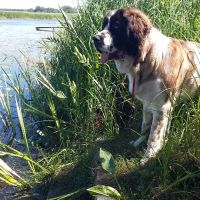twierdza_osowiec006