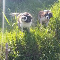 twierdza_osowiec009