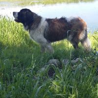 twierdza_osowiec012