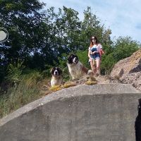 twierdza_osowiec019