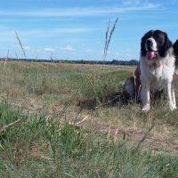twierdza_osowiec020