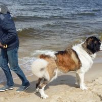 morze011