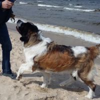 morze016