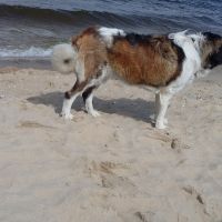 morze024