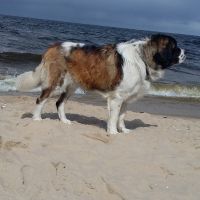 morze027