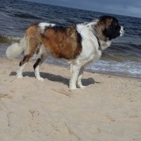 morze029