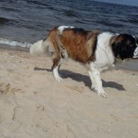 morze030