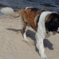 morze031