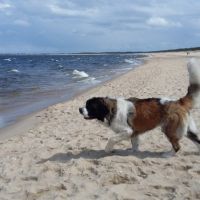 morze033
