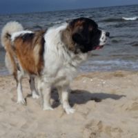 morze041