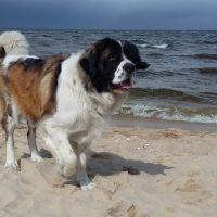 morze043