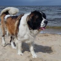 morze044