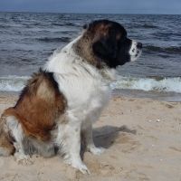 morze047