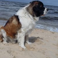 morze048
