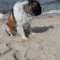 morze049