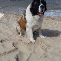 morze052