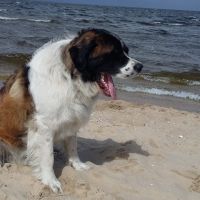 morze053