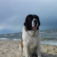 morze055