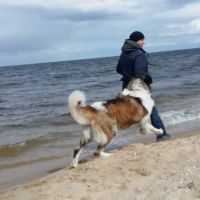 morze064