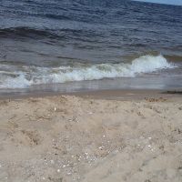 morze065