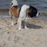 morze068