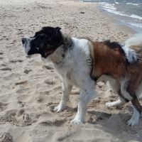 morze072