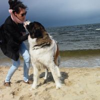 morze073