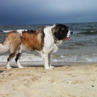 morze074