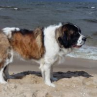 morze078