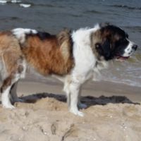morze079