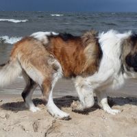 morze085