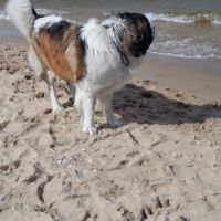 morze087